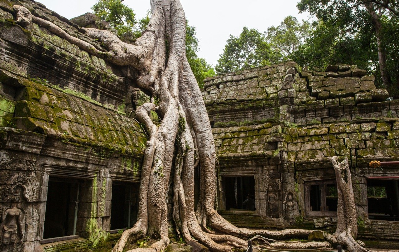 Ta Prohm