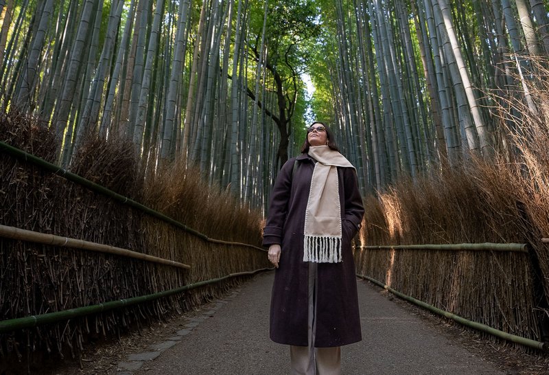 JAPAN Inclusions Banner