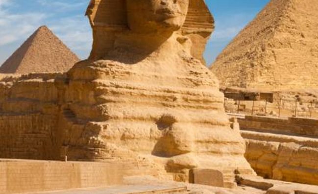 To Organize Group Or Individual Tourist Trips Inside Or Outside Egypt