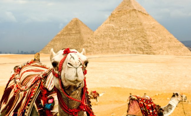 To Organize Group Or Individual Tourist Trips Inside Or Outside Egypt