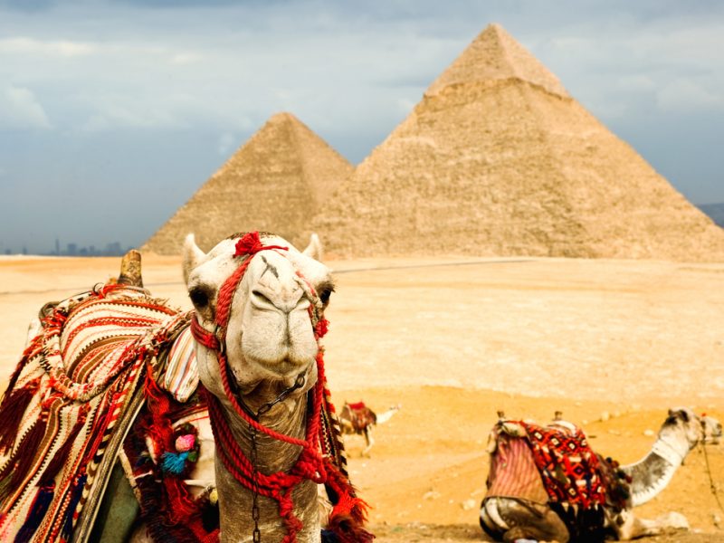 To Organize Group Or Individual Tourist Trips Inside Or Outside Egypt