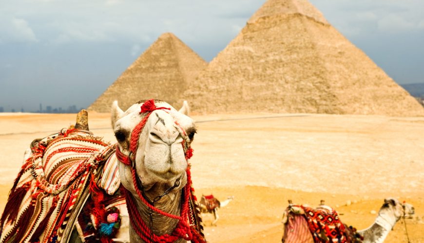 To Organize Group Or Individual Tourist Trips Inside Or Outside Egypt